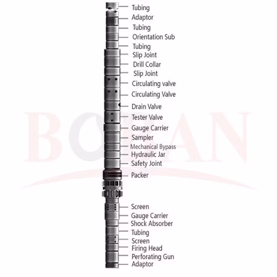 Test de tige de forage en fond de trou Dst Tools Rature Disk Rd Sampler